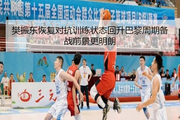 樊振东恢复对抗训练状态回升巴黎周期备战前景更明朗